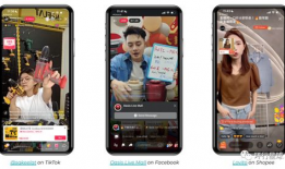 性爱直播手机可以看吗,手机观看的伦理与法律边界